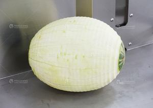 Máquina <span class=keywords><strong>de</strong></span> <span class=keywords><strong>afeitar</strong></span> <span class=keywords><strong>de</strong></span> piel <span class=keywords><strong>de</strong></span> Jaca <span class=keywords><strong>de</strong></span> coco Cantaloup <span class=keywords><strong>de</strong></span> alta eficiencia, peladora <span class=keywords><strong>de</strong></span> cáscara <span class=keywords><strong>de</strong></span> fruta, máquina peladora - Product Image 3