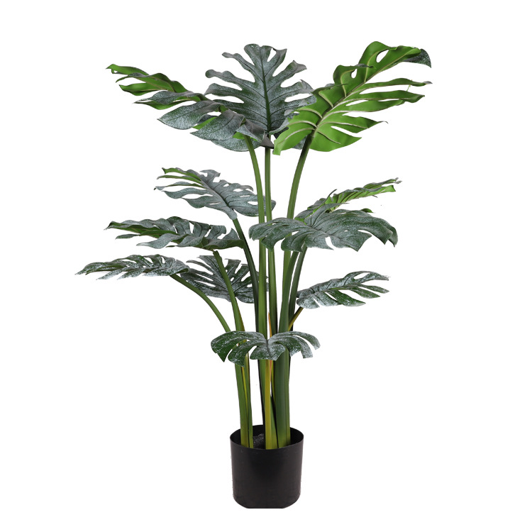 Carapace de tortue gris-blanc 120CM