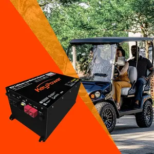 Factory Prismatic LiFePO4 48V 100Ah 135Ah Lithium Ion battery Heating Function IP67 electrical Golf Cart Battery with BMS