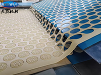 Machine de fabrication de biscuits et craquelins entièrement automatique pour la production de produits de boulangerie (biscuits au beurre, craquelins)
