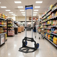 Chariot à main pliable en aluminium robuste de qualité industrielle OEM, bleu, durable, léger, capacité de 60 kg, roues en TPR PP