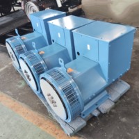 Générateur sans balais YTW triphasé 30 kW 37,5 kVA, prix promotionnel avec générateur PMG AVR.