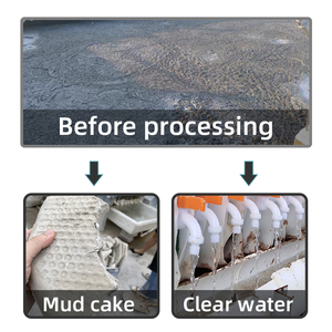 Máy ép lọc mini nhỏ gọn với thiết kế nhỏ gọn dành cho các nhà máy xử lý nước thải - Product Image 2