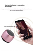 Haut-parleur portable d'extérieur sans fil le plus vendu en alliage d'aluminium 5.3 Mini avec sortie 3W