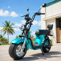 Brezilya Kapıdan Kapıya Citycoco Elektrikli Scooter 1000W 60V20A Depo Stoğu Yetişkin Şişman Lastikli E-Scooter
