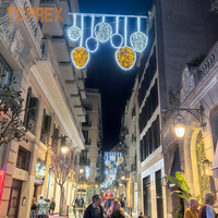 Lumière LED 2D à motif de rue en fer forgé de qualité municipale avec motif de boule et flocon de neige pour la décoration de Noël des allées urbaines