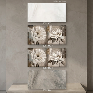 Carreaux de mur de salle de bain de couleur grise de 300x600mm 12x24 carreaux de porcelaine brillants en céramique numérique pour l'intérieur de la cuisine - Product Image 5