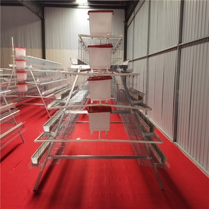 Bán Lồng Chứa Pin Gà Mái Đẻ Lớp Thiết Bị Trang Trại Gia Cầm Để Bán - Product Image 4