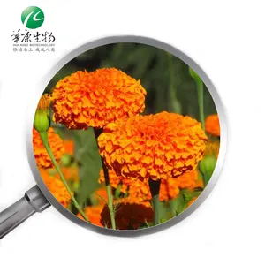 Bunga marigold buatan kering 5% 80% bubuk ekstrak bunga marigold lutein zeaxanthin