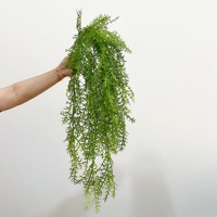 Plante artificielle à tige unique, plante verte, bonsai, fougère asperge, décoration douce pour bureau et maison