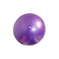 Ballon de Pilates/Yoga Mini en PVC de 25 cm, Anti-éclatement, Épaissi, Givré, pour l'Équilibre, le Fitness et le Rehaussement des Hanches