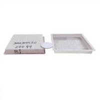 Moule en plastique injecté durable pour briques de pavage, briques de chemin imbriquées, blocs de béton et pavés