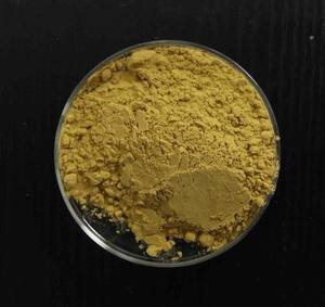 Herstellerlieferung Rosmarin-Extrakt Mehrere Spezifikationen Schnelle Lieferung Unabhängige Prüfung - Product Image 2