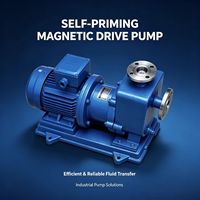 Bomba de Accionamiento Magnético Autocebante de Baja Presión, de Acero Inoxidable, Resistente a la Corrosión, 2.2KW, Especificaciones Personalizadas, Suministro de Fábrica OEM