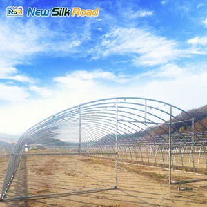<span class=keywords><strong>Serre</strong></span> agricole à simple portée à faible coût, en acier galvanisé à chaud, avec couverture en film plastique multi-ventilation, marque NSR - Product Image 3