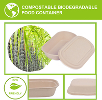 Vente en gros Respectueux de l'environnement Conteneur alimentaire PET biodégradable 7*5 pouces Canne à sucre Pulpe de canne à sucre compostable Sushi Canne à sucre
