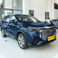 Pour Okavango 2.0T Turbo Essence, SUV 5 Portes 7 Places Grand Espace Boîte Automatique Haute Vitesse Fabriqué en Chine, Conduite à Gauche R15