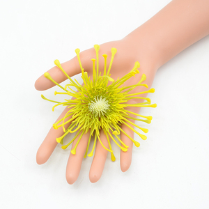 Alfiletero de Plástico con Flores Artificiales de Leucospermum Protea para Decoración de Hogar y Oficina en Jarrones - Product Image 3