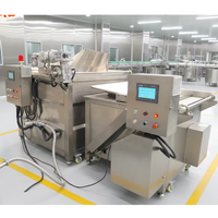 Friteuse Électrique Automatique Multifonctionnelle KAYA pour Chips de Plantain, Arachides, Maïs et Noix, en Acier Inoxydable, Sans Huile, pour Usine