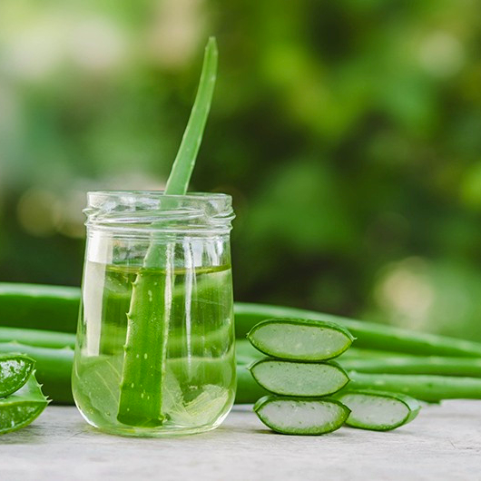 Delicious Aloe Vera Jelly Drinks - OEM Packing Available