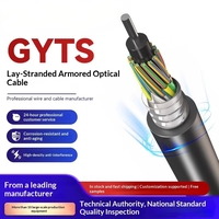 Kabel Optik GYTS Direct-buried 8 Serat Single-mode Outdoor Berlapis Baja untuk Saluran Model China GYTS-8B1