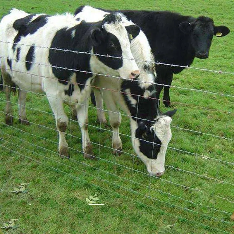 Alambre galvanizado resistente de la cerca del campo de granja del deporte para el cercado del campo