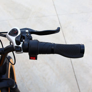 <span class=keywords><strong>Vélo</strong></span> cargo familial à suspension avant, style cyclomoteur, à 3 roues, pour adultes, tricycle cargo familial, trike, <span class=keywords><strong>vélo</strong></span> - Product Image 4