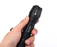 Lampe torche LED rechargeable portable, lumière blanche et ultraviolette combinées, 2 en 1, lampe torche UV 395 nm