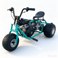 Trike à essence pour adultes, à trois roues, tout-terrain, buggy de plage
