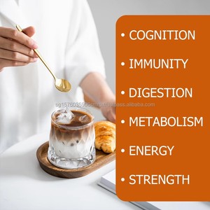 OEM ODM High Quality Vegan Friendly Adult <b>Protein</b> Powder Creatine Monohydrate Saturated Fat Muscle Strength Recovery Mood - Product Image 2