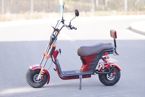 รถสกู๊ตเตอร์ไฟฟ้าแบตเตอรี่ลิเธียมขนาด48โวลต์12AH มอเตอร์ไร้แปรงขนาดใหญ่หนึ่งที่นั่งขนาด1000วัตต์โหลดสูงสุด150กก. 31-40กม./ชม. - Product Image 6