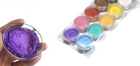 Poudre de pigment thermochromique à haute température noir sensible à la chaleur à colorant incolore pour peinture à l'encre