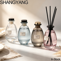 Diffuseur de parfum en verre de luxe écologique SY, couleur personnalisée, 150 ml, flacon vide pour diffuseur de parfum avec boîte