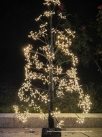 Guirlandes lumineuses colorées 36V pour centres commerciaux, mariages, maisons neuves, décoration RGB à dégradé de couleurs, feux d'artifice, sapins de Noël