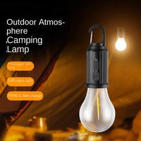 Lampe de camping solaire LED rechargeable IP65 de type C, éclairage d'urgence extérieur pour jardin, ampoule télécommandée à intensité variable 360°
