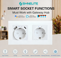 Prise murale intelligente WiFi standard européenne 2 gang avec port de charge USB, contrôle à distance via l'application Tuya, minuterie, prise intelligente