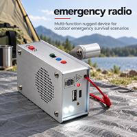 Générateur portable à manivelle, chargeur USB pour téléphone, lampe torche LED, radio pour le camping en plein air, la pêche, la survie en cas de catastrophe