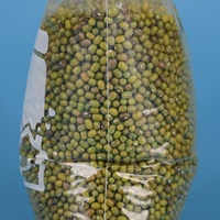 Sac de congélation refermable en PE avec double fermeture éclair et impression en gravure, qualité alimentaire, pour le stockage de salades, nouilles et sucre