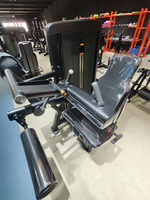 Machine à flexions de cuisses assises, conception à charge par poulie, entraînement des ischio-jambiers, cadre robuste, idéale pour l'entraînement de la force des jambes en salle de sport
