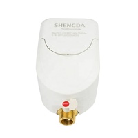 Compteur d'eau intelligent à ultrasons Shengda, en laiton, protection IP68, usage domestique, personnalisable OEM, basé sur LoRaWAN/LoRa