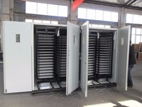 Incubateur commercial à capacité d'œufs 19712 pour œufs de canard, de caille, de poulet et de dinde-HJ-IH19712 Offre Spéciale