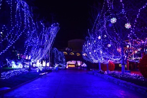 Đèn <span class=keywords><strong>LED</strong></span> Dây 10M 20M 30M 50M 100M Đèn Giáng Sinh Chống Thấm Nước Trong Nhà Ngoài Trời Cho Giáng Sinh Trang Trí Tiệc Cưới - Product Image 6