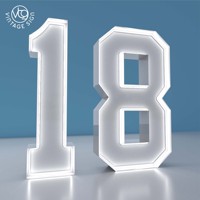 Chiffres et lettres lumineux pour 18e anniversaire, couleur RGB changeante, numéros LED autoportants pour la décoration de table ou de fond de fête d'anniversaire.