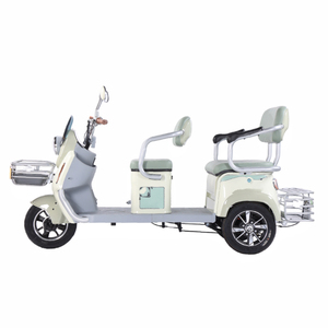 Nhà Máy Bán Hàng Trực Tiếp Chất Lượng Cao Dành Cho Người Lớn Xe Ba Bánh Giải Trí Xe Với Mở Phía Trước Giỏ Và Bền Khung Dày Thiết Kế - Product Image 1