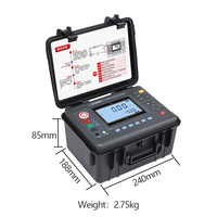 Meteran Resistansi Isolasi Industri Digital Elektronik 10KV Akurasi Tinggi LCD PI/DAR USB Export untuk Perawatan Kabel Motor