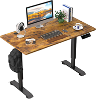 Muebles de Oficina Modernos Fabricados en China, Escritorio Eléctrico de Altura Ajustable para Computadora, Diseño Contemporáneo de Acero
