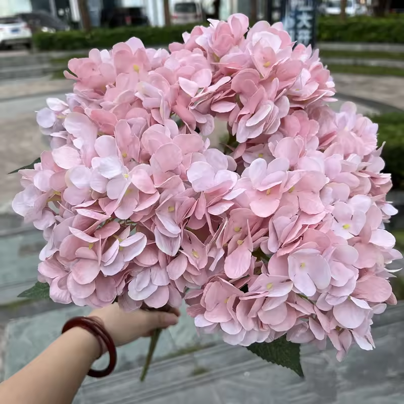 6# Pâte de haricots rose