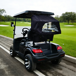 Minicar Elettrica da Golf e Buggy per Aeroporto a 2 Posti, Fabbrica OEM, con Batteria al Litio 60V, Certificazione CE, Autonomia di 90km, Potenza Elevata, ATV - Product Image 3