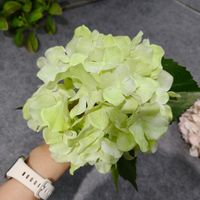Hoogwaardige real touch latex hortensia bloemen met kleurovergang voor bruiloft, thuis, tafelvaas decoratie en bloemstukken