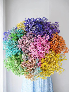 Vente flash - Bouquet de fleurs Gestasus préservées, personnalisable en couleur, très populaire et décoratif - Product Image 5